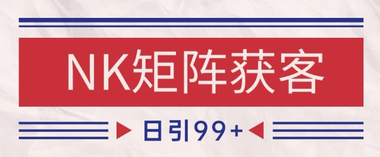 小红书某音NK赛道引流获客 自热矩阵日引200+【揭秘】-叮当猫聊项目