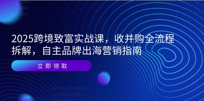 2025跨境致富实战课，收并购全流程拆解，自主品牌出海营销指南-叮当猫聊项目