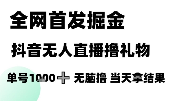 全网首发掘金抖音无人直播撸礼物，单号1k +无脑撸，当天拿结果【揭秘】-叮当猫聊项目
