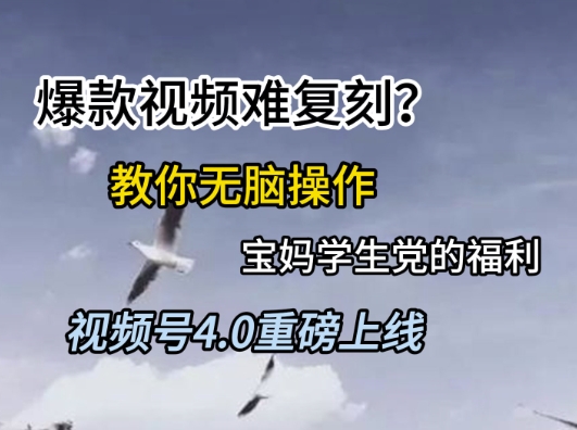 视频号4.0重磅上线，爆款视频难复刻？教你无脑操作宝妈学生党的福利【揭秘】-叮当猫聊项目
