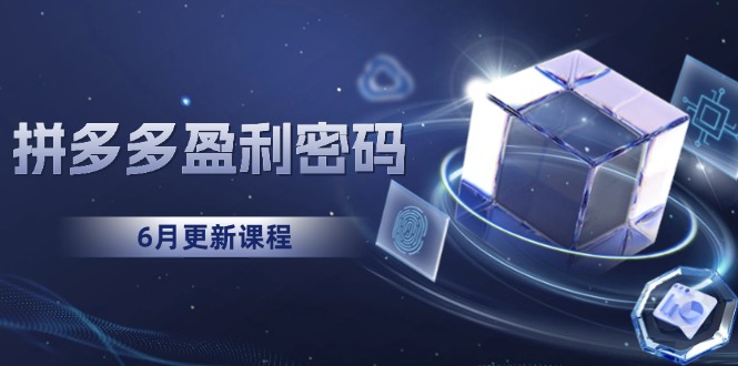 拼多多盈利密码：从烧钱推广到印钞模型，底层逻辑重构指南(6月更新-叮当猫聊项目