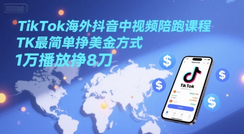 TikTok海外抖音中视频陪跑课程，TK最简单挣美金方式，1万播放挣8刀-叮当猫聊项目