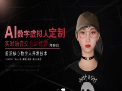 AI数字虚拟人定制，实时语音交互训练营(零基础)，前沿核心数字人开发技术-叮当猫聊项目