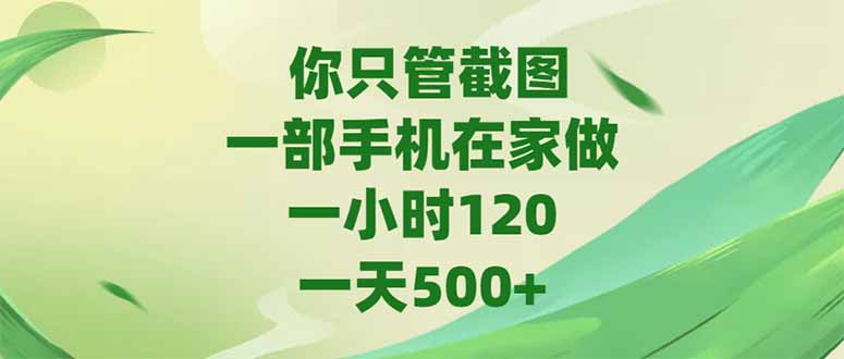你只管截图，一部手机在家做，一小时120，-天500+-叮当猫聊项目
