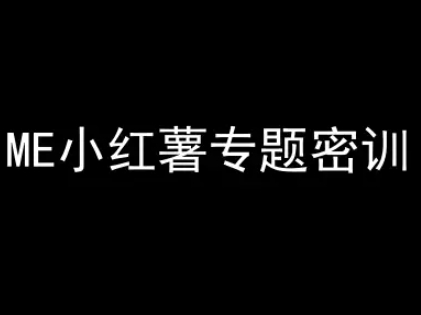 ME小红薯专题密训-小红书电商教程-叮当猫聊项目