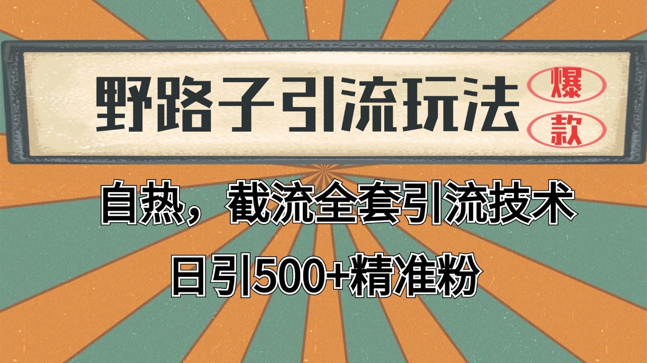 2024首发野路子引流玩法截流自热全平台打法，全自动引流【日引2000+精准客户】-叮当猫聊项目