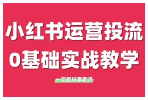 小红书运营投流，小红书广告投放从0到1的实战课，学完即可开始投放(更新)-叮当猫聊项目