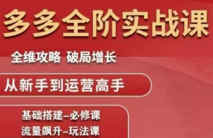 拼多多全阶实战课程，全维攻略，破局增长，从新手到运营高手-叮当猫聊项目