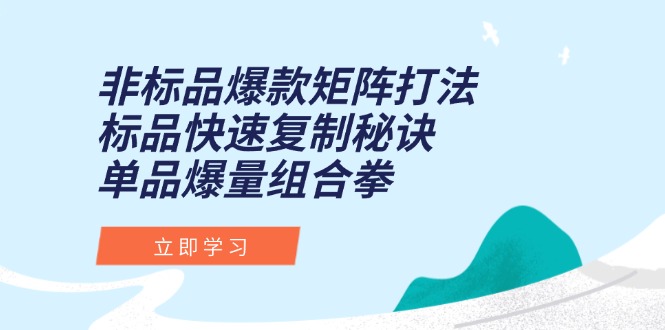 非标品爆款矩阵打法，标品快速复制秘诀，单品爆量组合拳-叮当猫聊项目