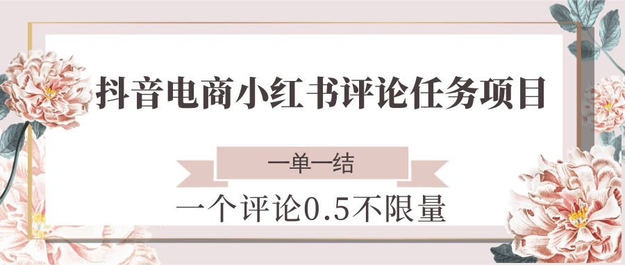 抖音电商小红书评论任务项目，一个评论0.5，一单一结 不限量-叮当猫聊项目