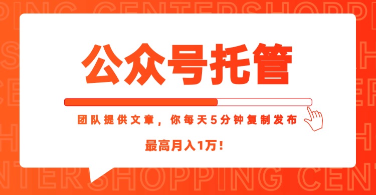 【公众号托管 】我提供文章，你每天５分钟复制发布，最高月入1W-叮当猫聊项目