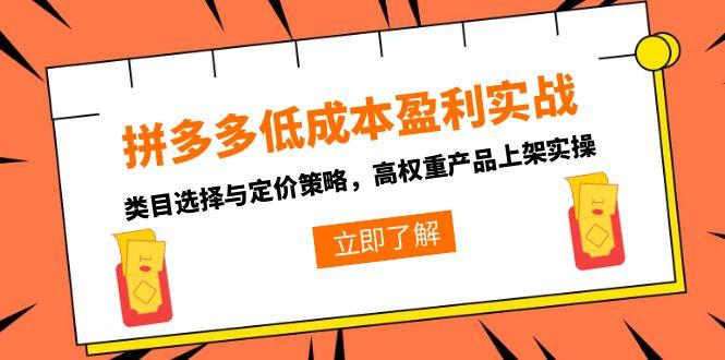 拼多多低成本盈利实战，类目选择与定价策略，高权重产品上架实操-叮当猫聊项目