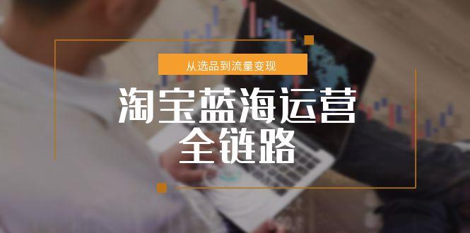 淘宝蓝海运营全链路，从选品到流量变现，小类目突围完整方案-叮当猫聊项目
