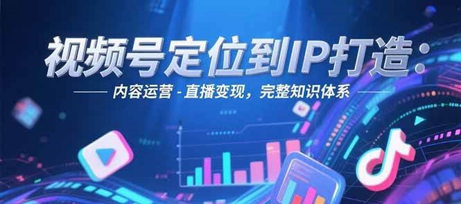视频号定位到IP打造：账号搭建-内容运营-直播变现，完整知识体系-叮当猫聊项目