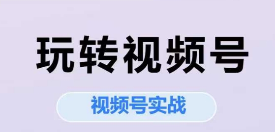 玩转视频号，视频号实战系列课-叮当猫聊项目