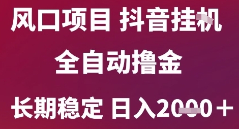 风口项目，六月最新玩法抖音无人挂G，全自动撸金，长期稳定 日入2k+【揭秘】-叮当猫聊项目
