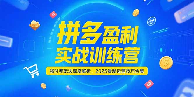 拼多多盈利实战训练营，强付费玩法深度解析，2025运营技巧合集-更新6月-叮当猫聊项目
