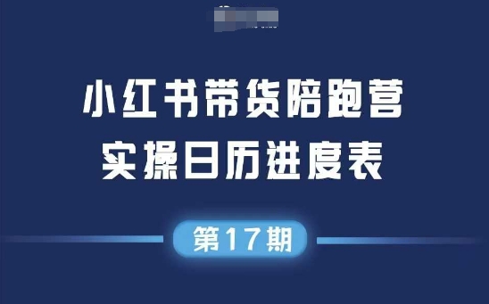 小红书第17期带货陪跑营，不囤货，无不直播，无不投流，通过选品+笔记内容+测品+笔记铺量+矩阵运营打爆款-叮当猫聊项目