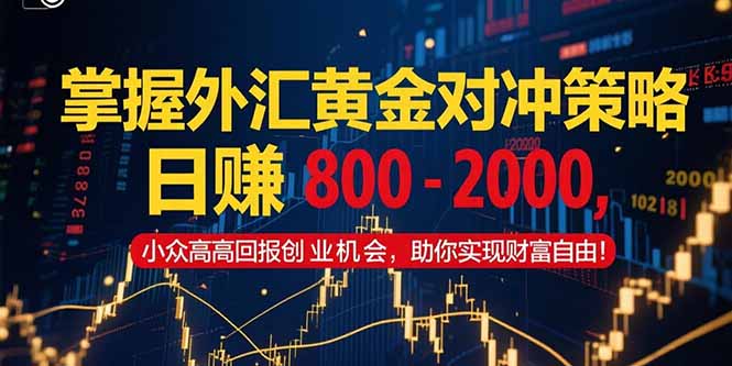 掌握外汇黄金对冲策略，日赚 800 – 2000，小众高回报创业机会，助你实…-叮当猫聊项目