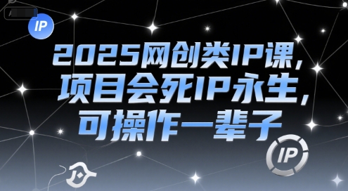 2025网创类IP课，项目会死IP永生，可操作一辈子-叮当猫聊项目
