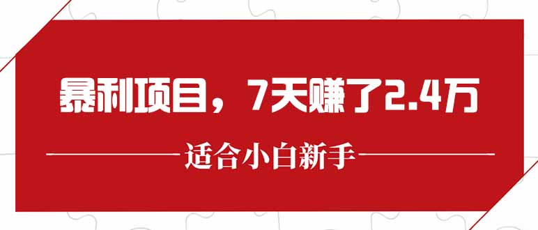 最新暴利项目，每单收益轻松在300以上，7天赚了2.4万-叮当猫聊项目