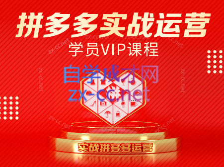推易电商·拼多多实战运营课(更新2025月)-叮当猫聊项目