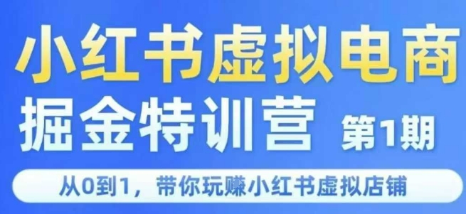 小红书虚拟电商掘金特训营第1期，从0到1，带你玩转小红书虚拟店铺-叮当猫聊项目
