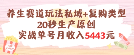 养生赛道玩法私域+复购类型，20秒生产原创实战单号月收入5k+-叮当猫聊项目