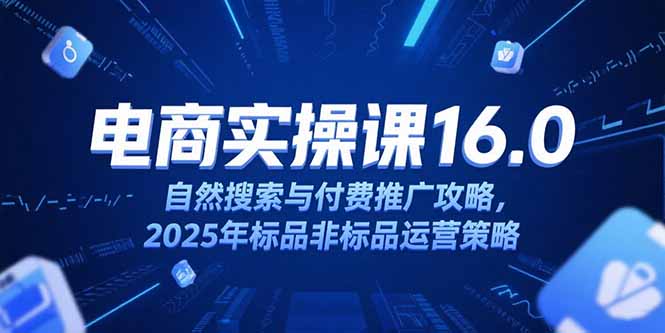 淘宝电商运营课16.0，自然搜索与付费推广攻略，2025年标品非标品运营策略-叮当猫聊项目