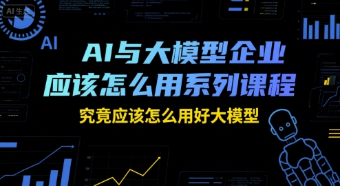AI与大模型企业应该怎么用系列课程，究竟应该怎么用好大模型-叮当猫聊项目