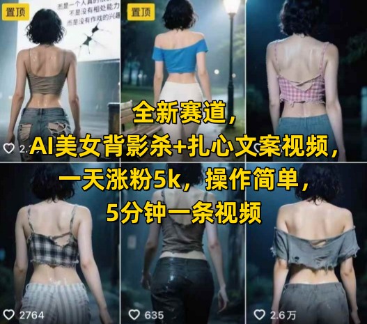 全新赛道，AI美女背影杀+扎心文案视频，一天涨粉5k，操作简单，5分钟一条视频-叮当猫聊项目
