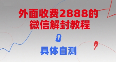 外面收费2888的微信解封教程，具体自测-叮当猫聊项目