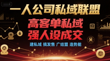 一人公司私域联盟，高客单私域，强人设成交，建私域 搞发售 广结盟 造势能-叮当猫聊项目