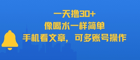一天撸30+，像喝水一样简单，手机看文章，可多账号操作-叮当猫聊项目