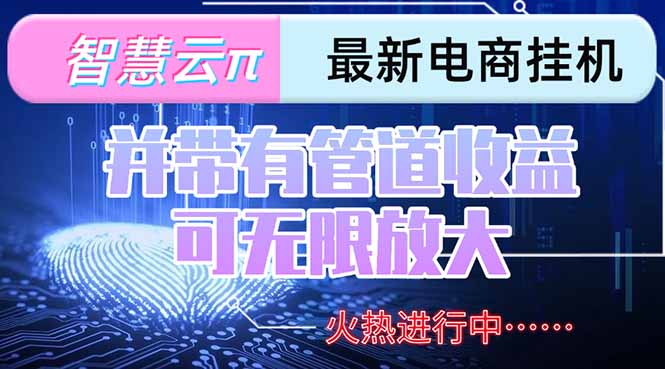 智慧云π电脑挂机单机每天收益300—500+ 并带有团队管道收益 可无限放大-叮当猫聊项目
