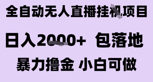 最新全自动抖音无人直播挂G项目，日入2k+ 包落地暴力撸金，小白可做【揭秘】-叮当猫聊项目