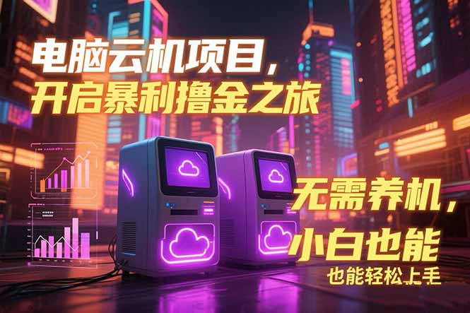 电脑云机项目 暴力撸金玩法，不需要养机 配置没有要求 单机100个窗口一…-叮当猫聊项目