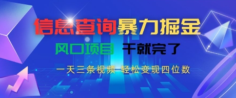 信息查询暴力掘金，一天三条视频，轻松变现四位数，风口项目干就完了【揭秘】-叮当猫聊项目