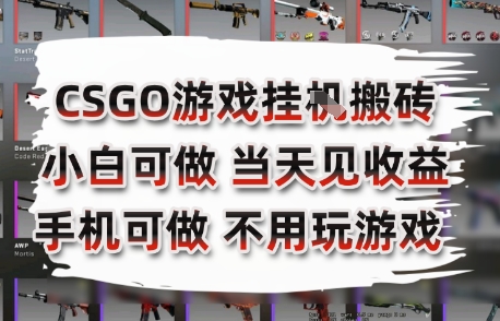 CSGO游戏挂G搬砖，小白纯手机即可操作，不用电脑打游戏，日入3张+，副业网创项目【揭秘】-叮当猫聊项目