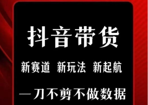 抖音短视频一刀不剪带货，不剪辑，不直播，每天发个视频，等着出单获取带货佣金-叮当猫聊项目