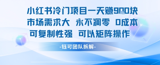 小红书冷门项目一天收益9张，市场需求大，0成本，可复制性强可以矩阵操作-叮当猫聊项目