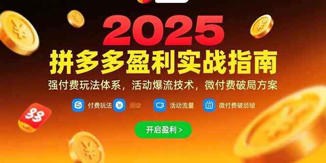 拼多多盈利实战指南，强付费玩法，活动爆流技术，微付费破局方案(更新7月-叮当猫聊项目