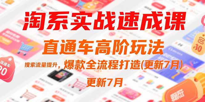 淘系实战速成课，直通车高阶玩法，搜索流量提升，爆款全流程打造(更新7月-叮当猫聊项目