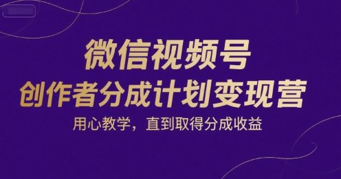 微信视频号创作者分成计划变现营，用心教学，直到取得分成收益-叮当猫聊项目