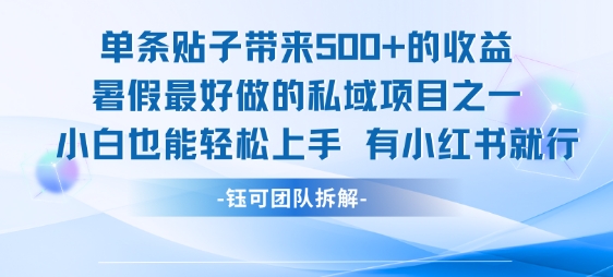 单条贴子带来5张的收益，暑假最好做的私域项目之一，小白也能轻松上手，有小红书就行-叮当猫聊项目